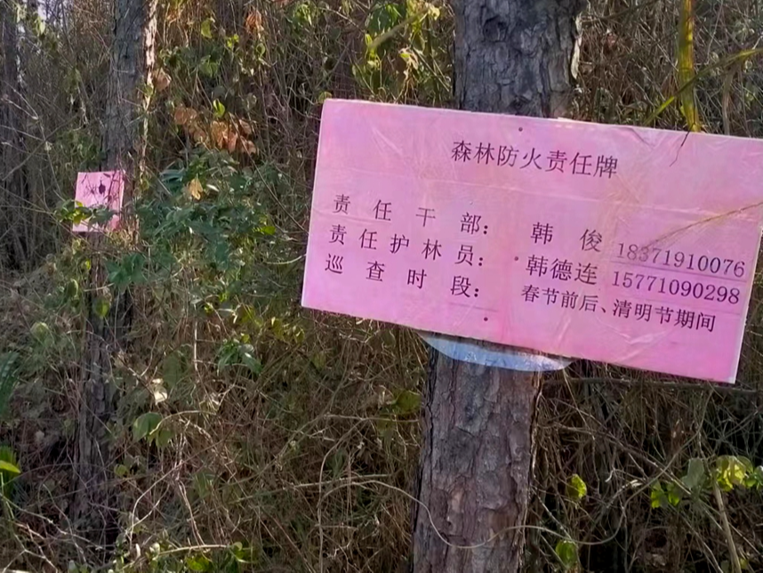 溢水镇：开展森林火险隐患专项排查治理