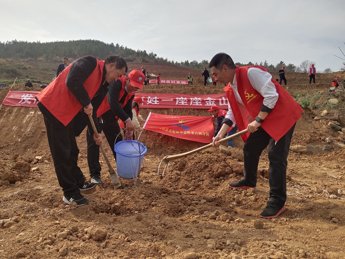 秦古镇中心学校：践行雷锋精神 追求“绿色”时尚