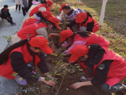 双台乡茅塔中学开展沐浴春风 “植”此青绿活动