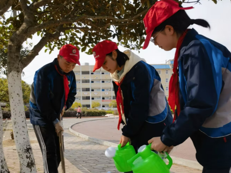 宝丰中学开展校园“爱绿护绿”活动