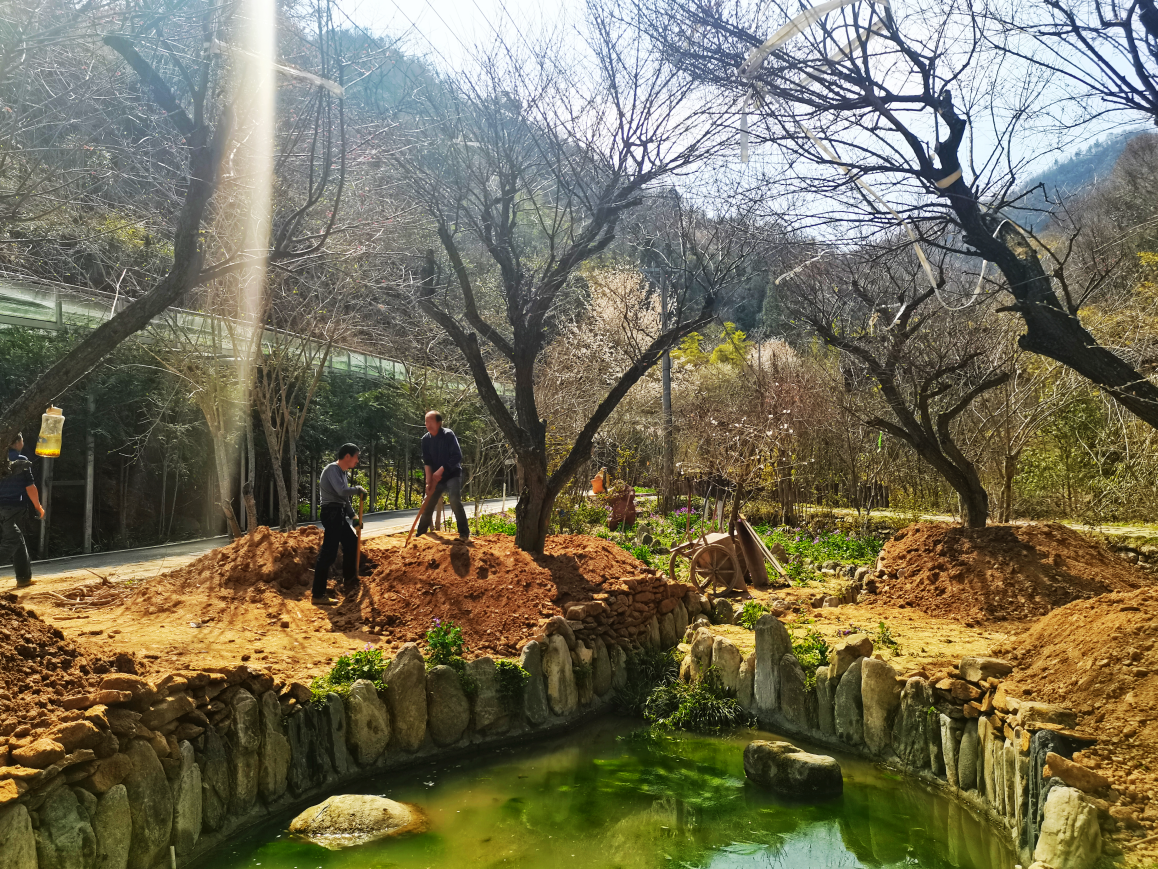县文化和旅游局全面推进生态绿美景区建设