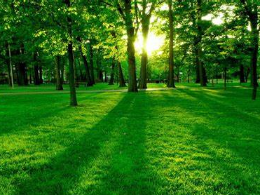 官渡镇中心学校：雷锋精神浸润童心 劳动教育感悟真知