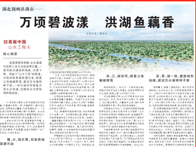 点赞！《人民日报》关注荆州这件事→