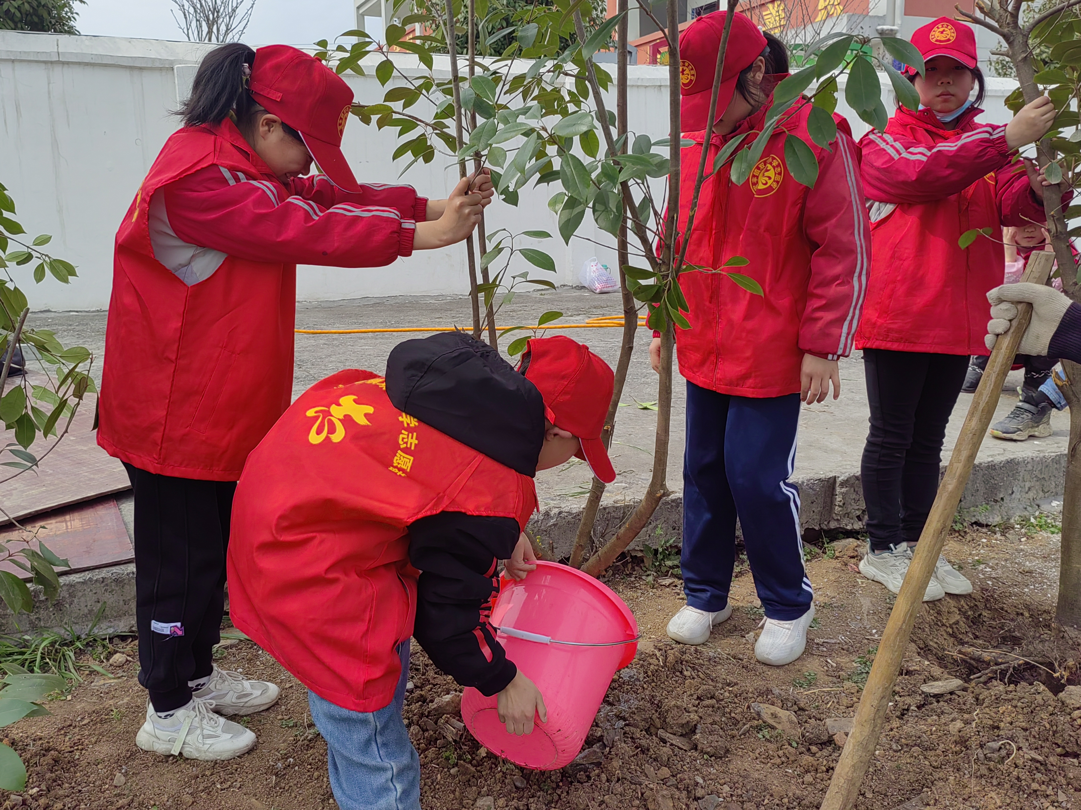 双丰小学：三月学雷锋 植树我同行