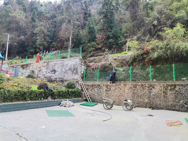 沧浪九年制学校：添绿色防护 保师生平安