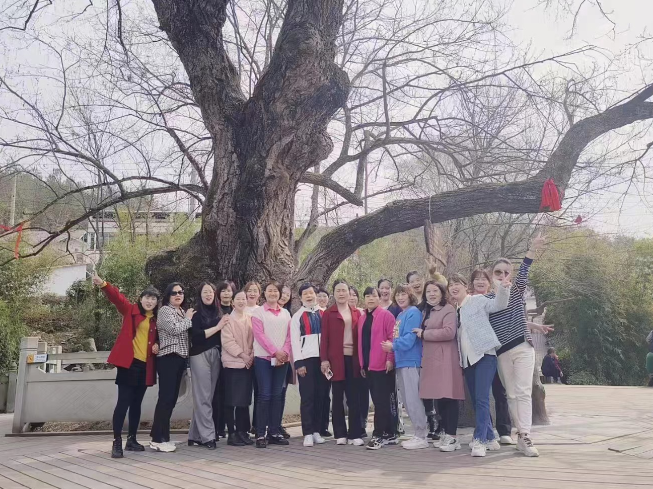 县行政审批局庆祝三八妇女节
