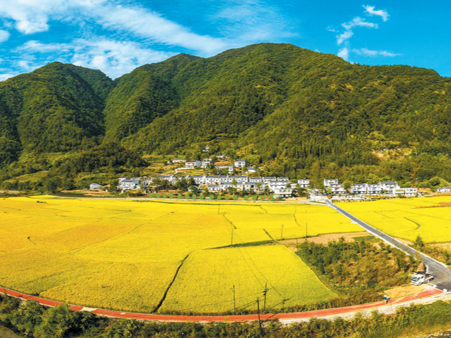 县委农村工作领导小组会议召开