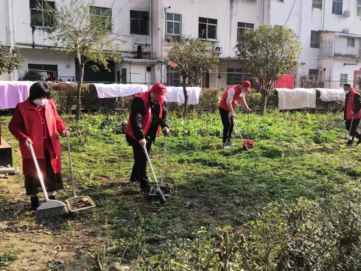得胜镇：党建引领聚合力 人居环境“焕新颜”