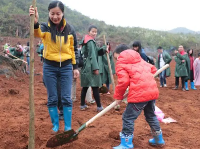 文峰乡中心学校开展学雷锋义务植树捐款活动