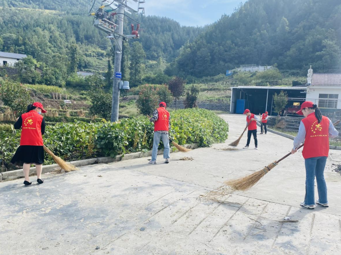 竹坪乡：坚持党建引领 共建和美乡村