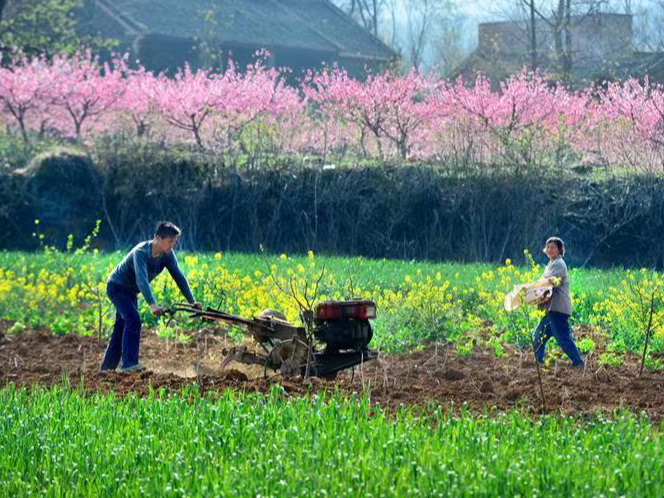 潘口乡：下沉监督护“春苗”