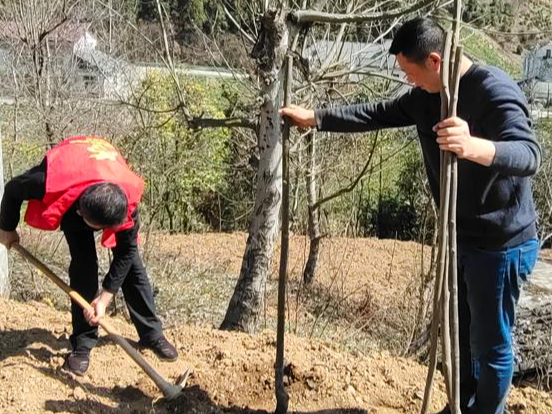 大庙乡：共植花椒林  共兴脱贫村