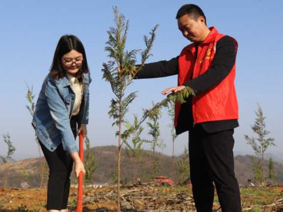 麻家渡镇：相约灿烂春天 创建绿满竹山