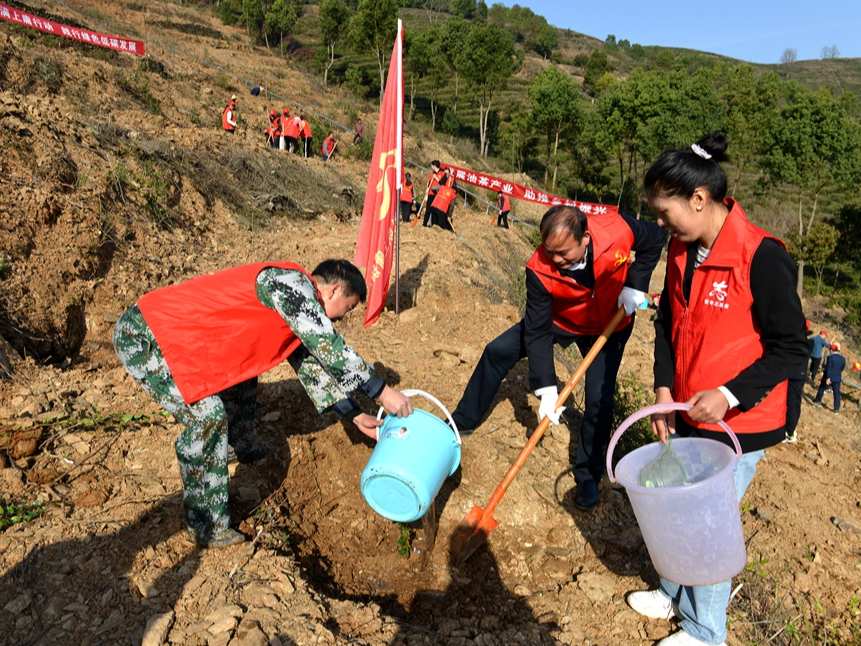 上庸镇：百名干部植绿圣水湖畔千亩荒山