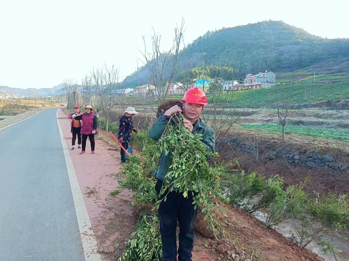 擂鼓镇：干群携手植新绿 美丽乡村添新景