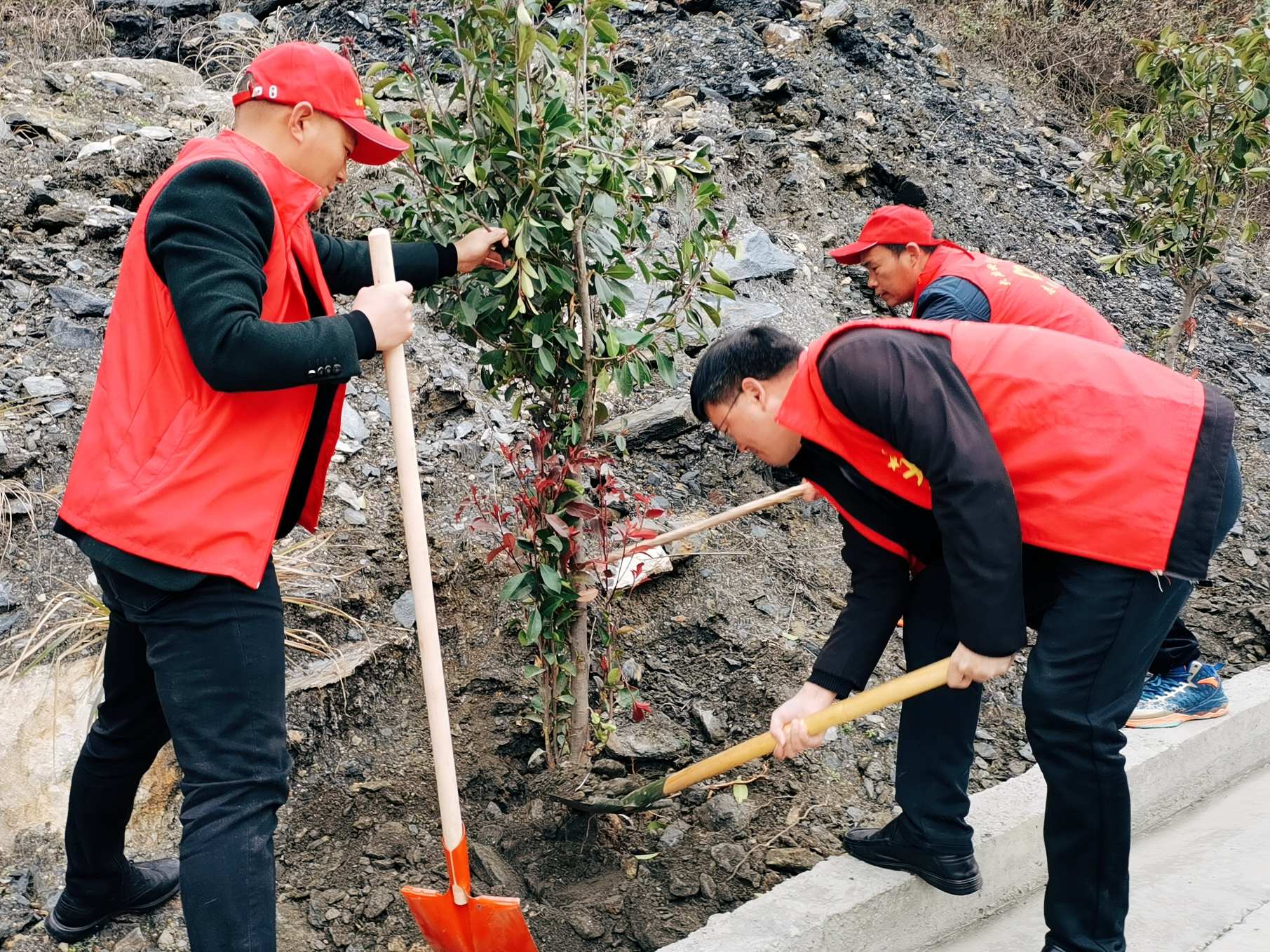 大庙乡：植树造林正当时，绿满家园不复春