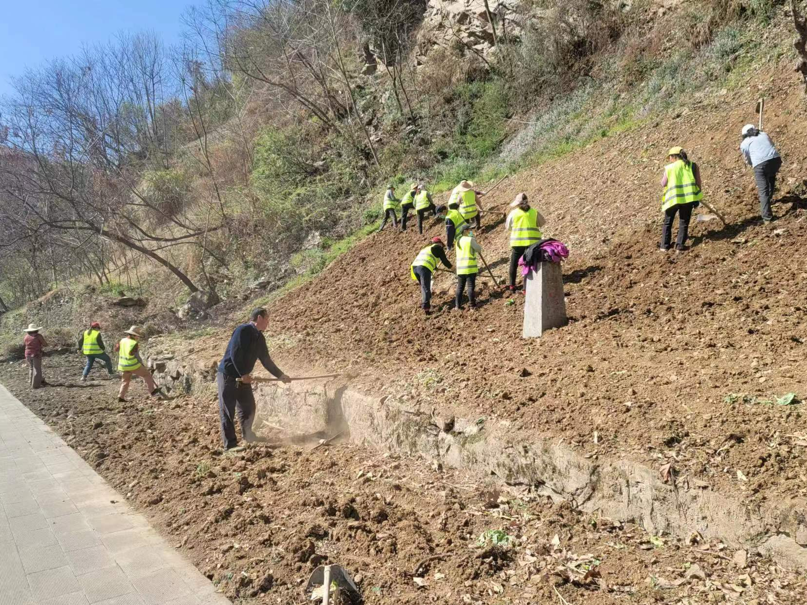 县住建局：扎实推进“绿满堵河 花开竹山”三年行动