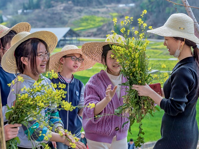 县青少年活动中心：组织学生在田间地头上好劳动教育实践课