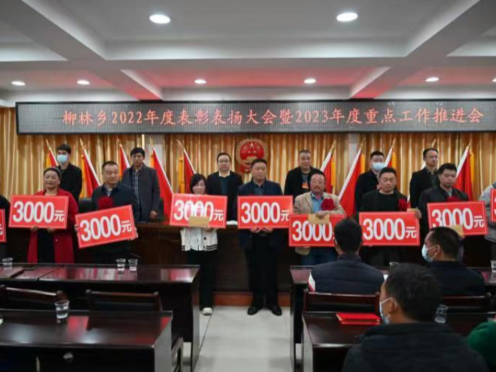 柳林乡：表彰“发展功臣” 擂响“奋进战鼓”