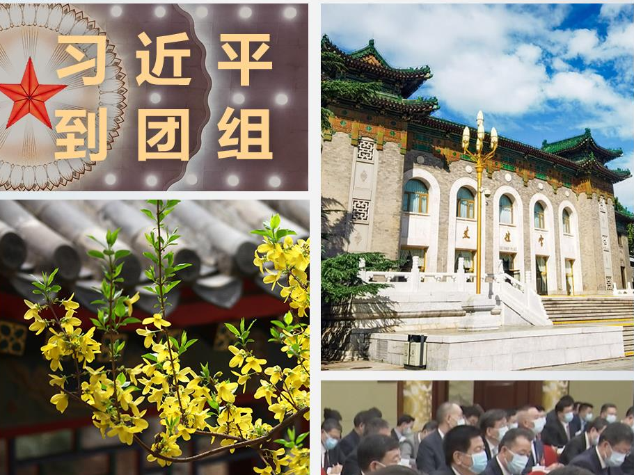 时政新闻眼丨习近平参加政协联组会，为这件大事亮明态度、作出部署