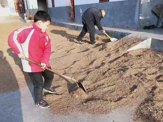 沧浪九年制学校：双休追“锋”人人争做“家务小能手”