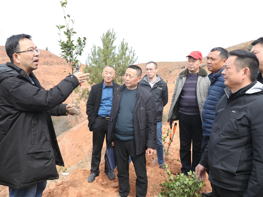 竹山把油茶培训搬到基地