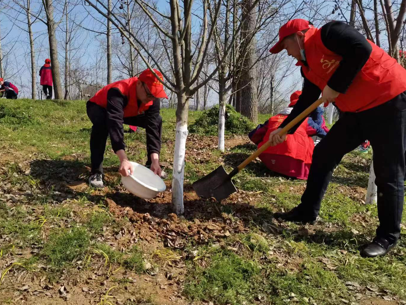 竹山职校：开展植树节主题活动