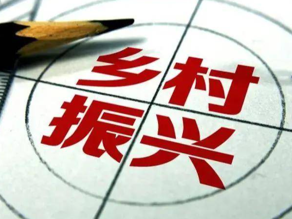 大庙乡：优化环境纾企困 引进产业促振兴