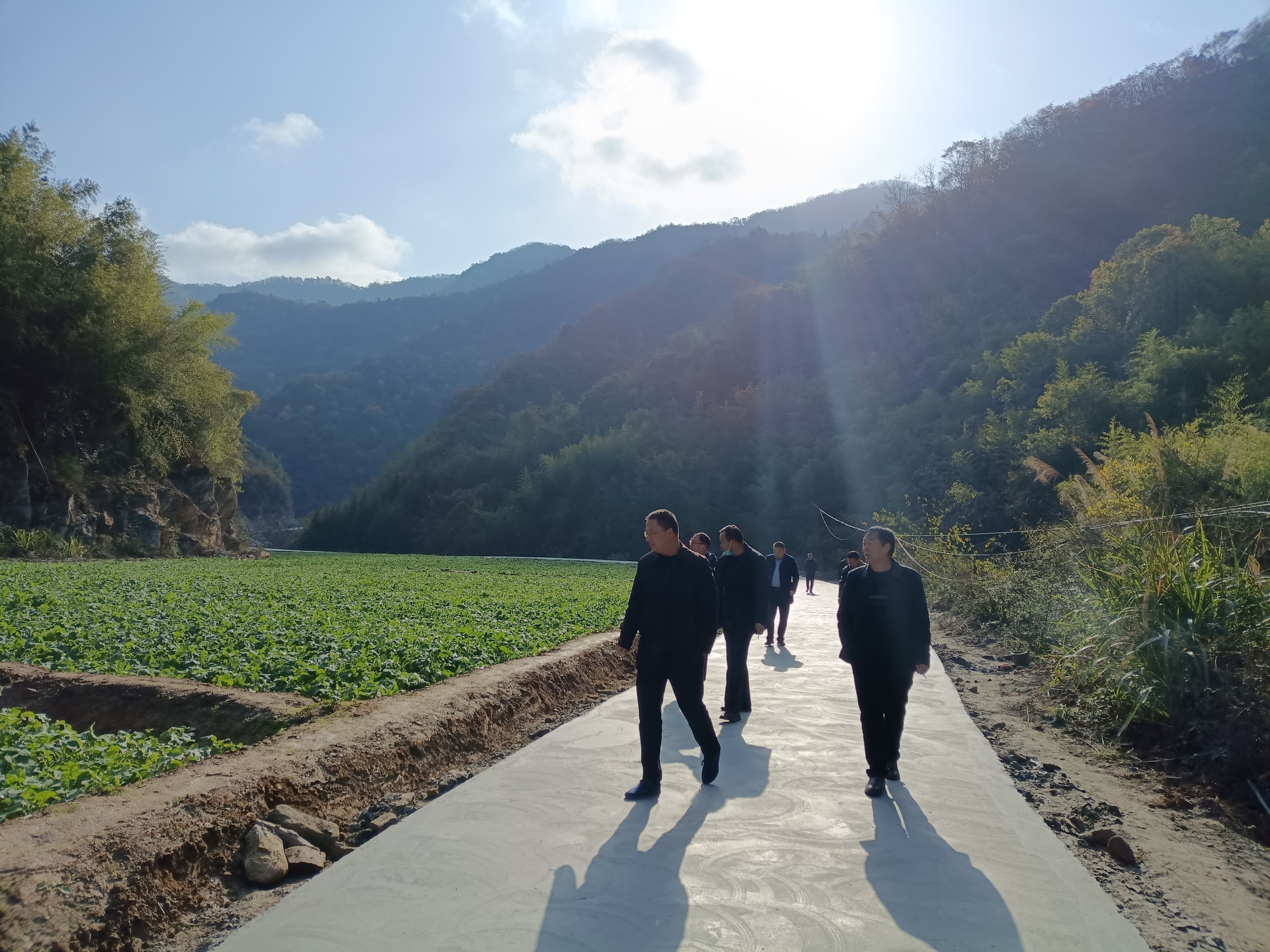 楼台乡：建设“四好农村路”  架起党群连心桥