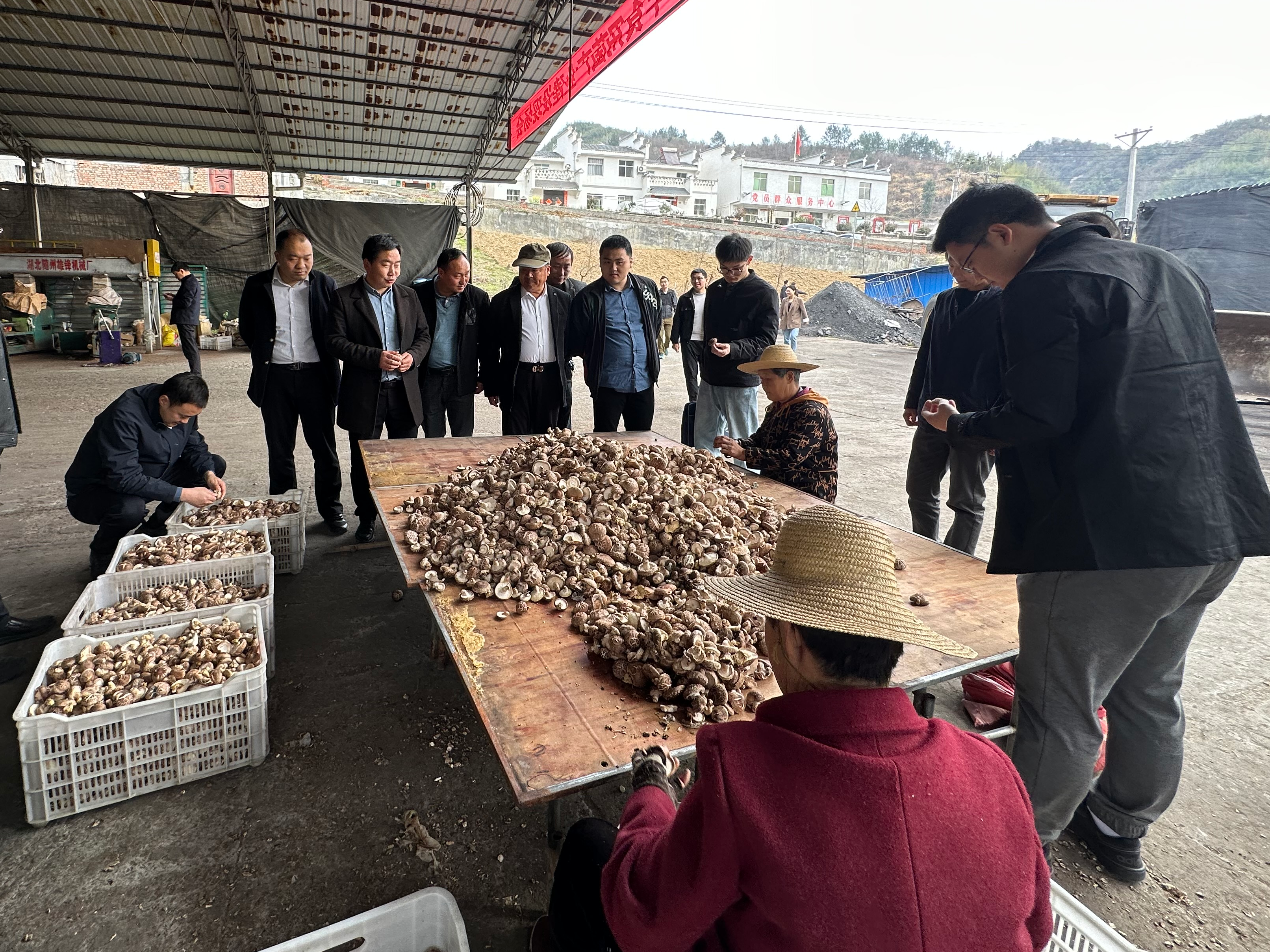 竹坪乡召开食用菌产业建设现场会