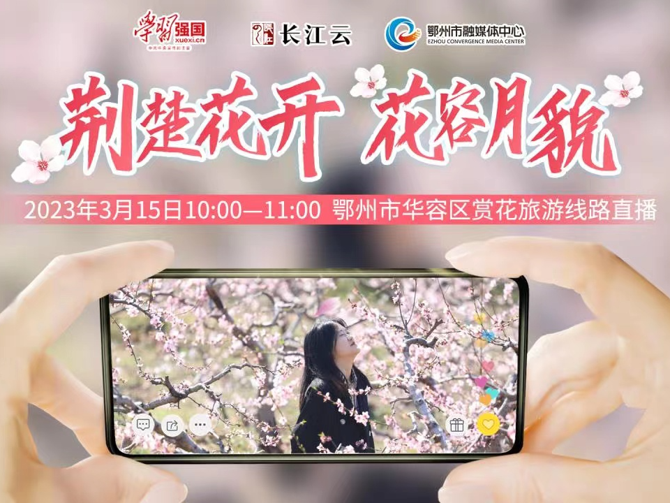直播|荆楚花开 花容月貌 走进鄂州华容赏花旅游线路