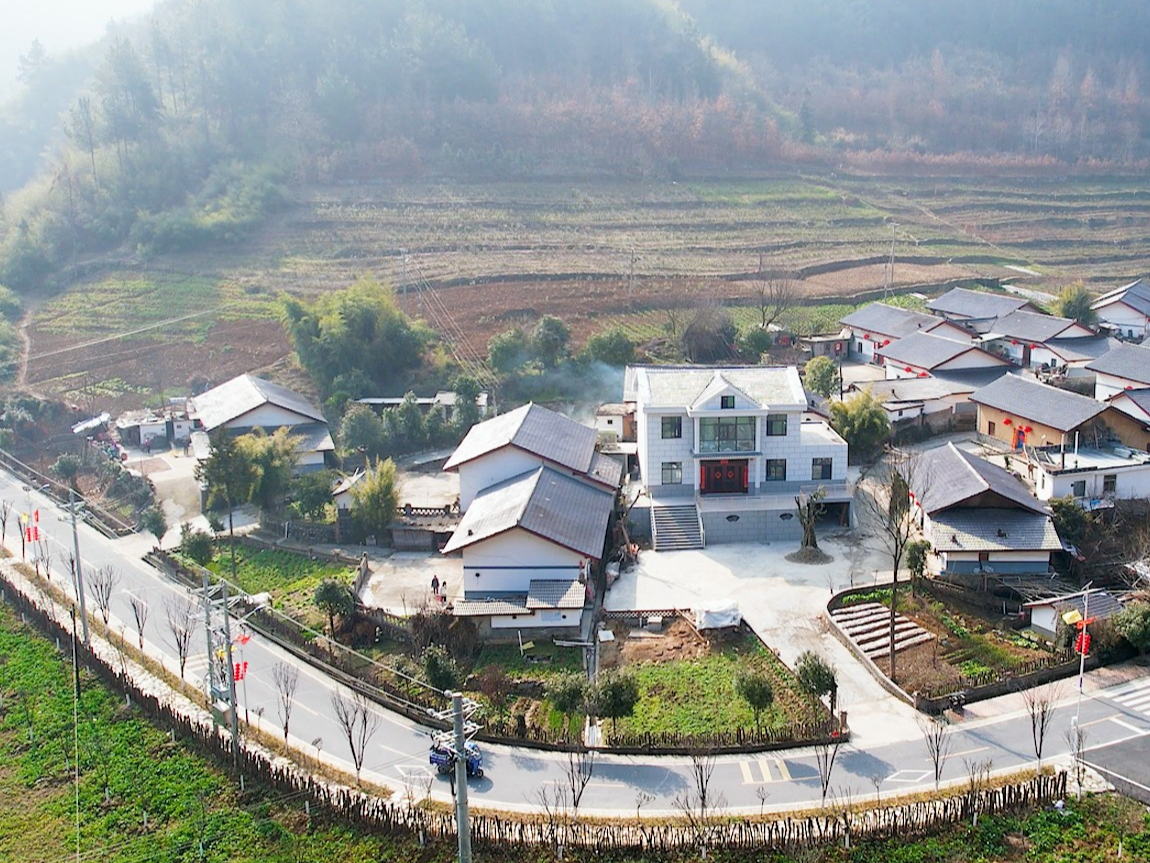 县耕管站：开展测土配方施肥 促进茶叶提质增效