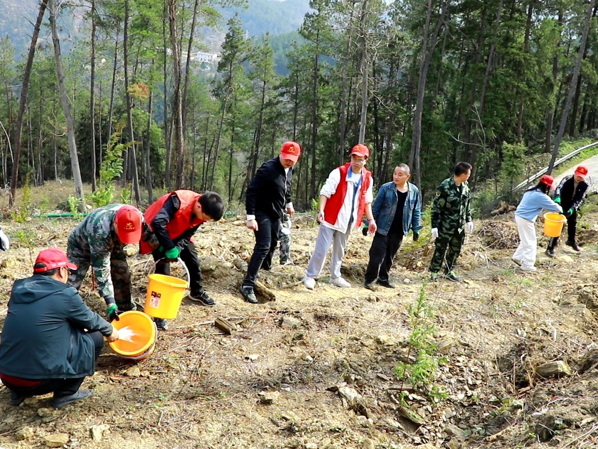 县水利和湖泊局开展义务植树活动
