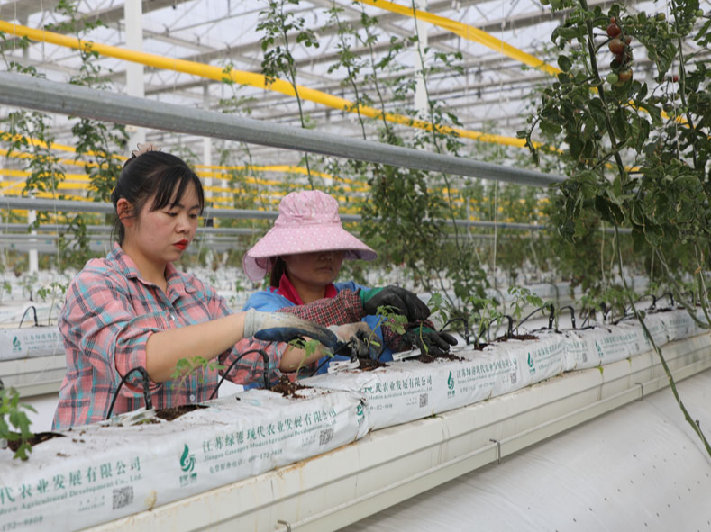 “科技利器”助春耕