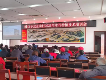 潘口乡：农技培训助春耕