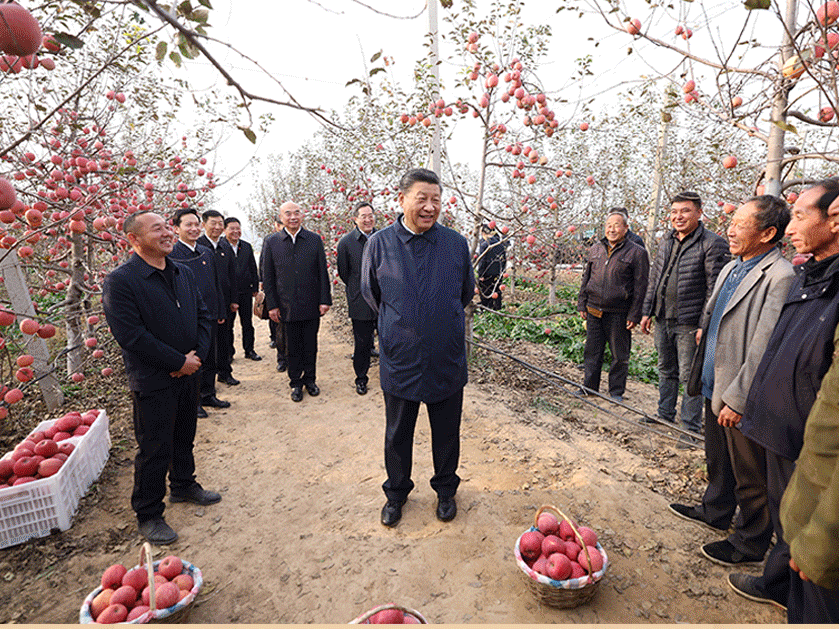 时政微观察丨“我们的根扎在劳动人民之中”