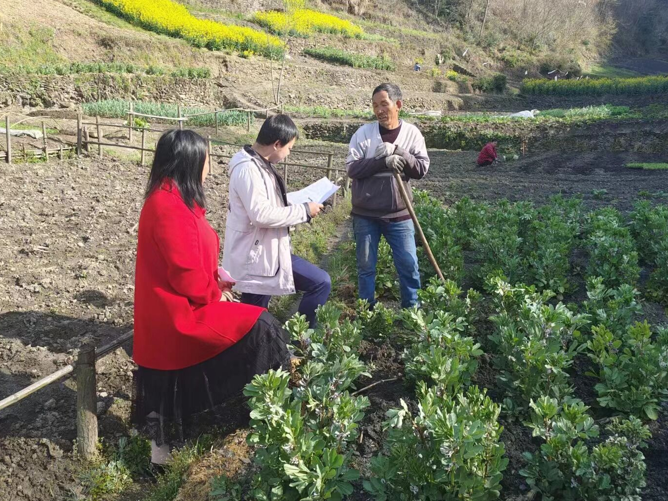 竹坪乡：入户核查提升数据质量
