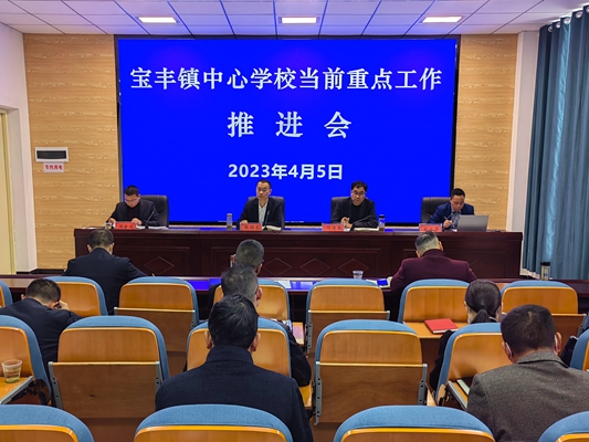 宝丰镇中心学校稳步推进当前重点工作