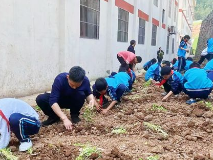 擂鼓镇小学：“劳”以启智 “动”以润心