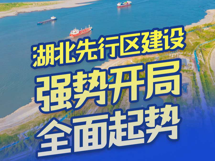 一图读懂丨建设先行区，湖北这样干！