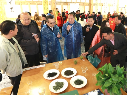 宝丰镇举办首届斗茶大赛