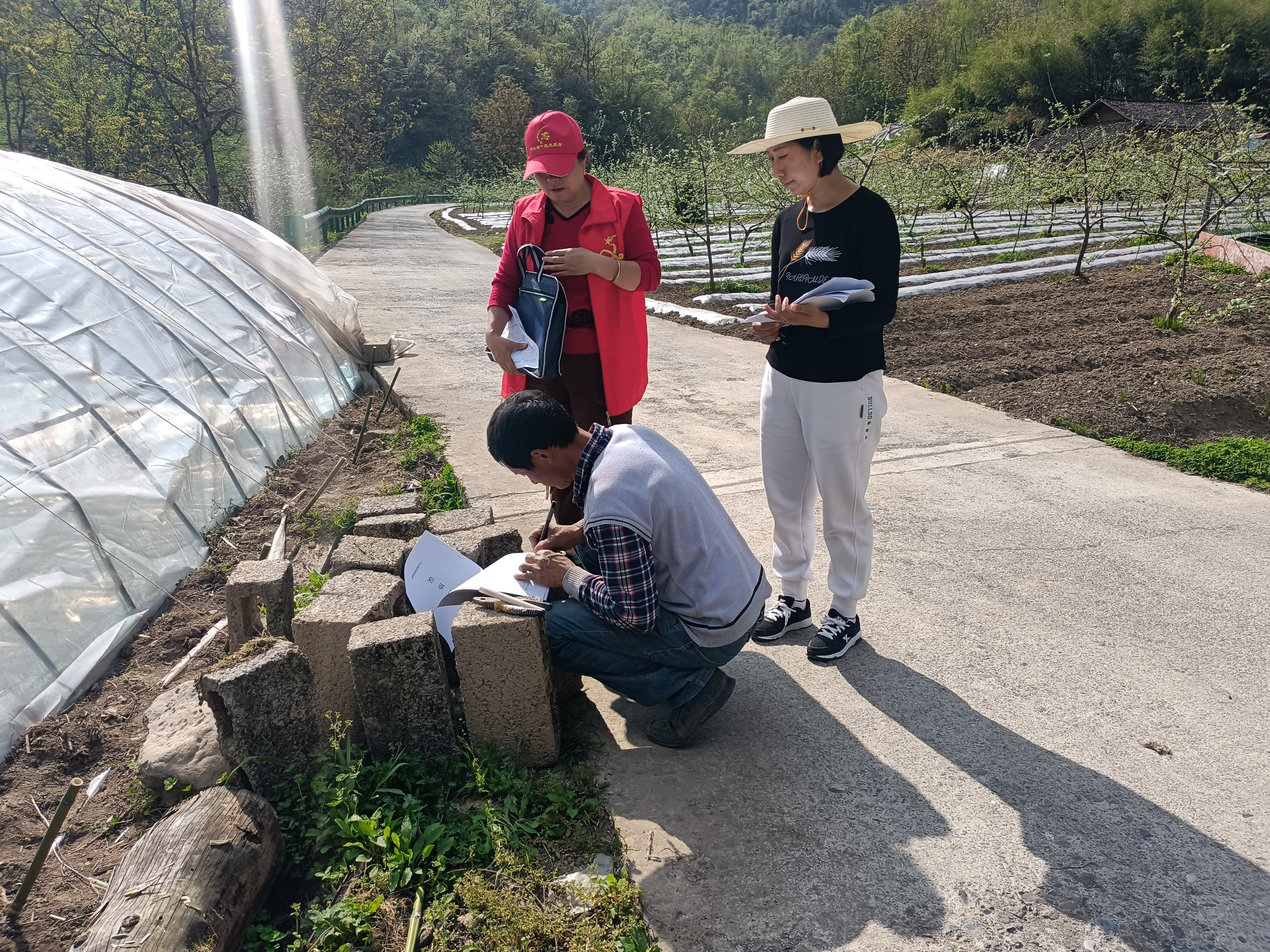 柳林乡：网格化管理 走深走实走细