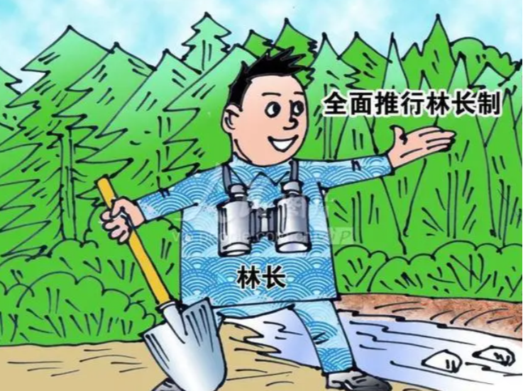 柳林乡：三级林长“执笔”共绘绿色民生长卷