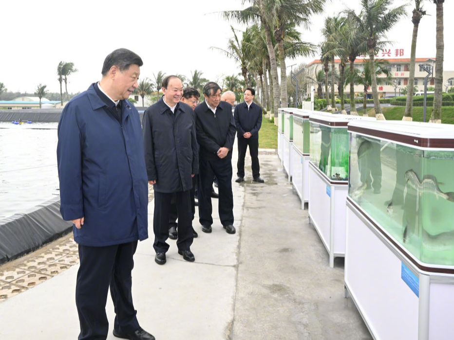 习近平在广东考察调研