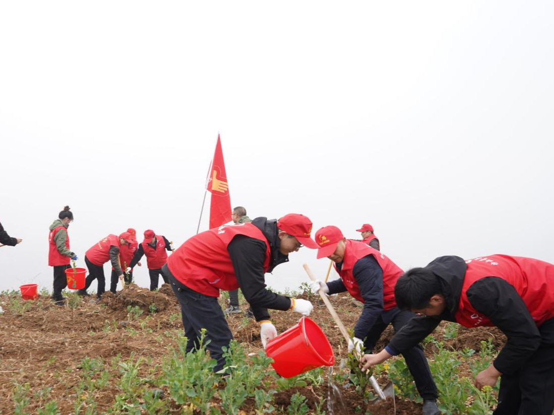 弘揚雷鋒精神 共創(chuàng)綠色未來