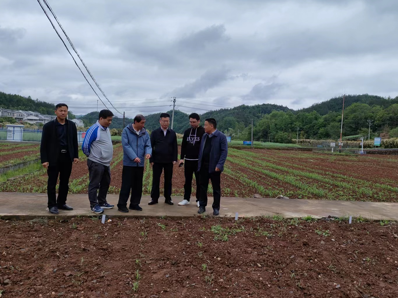 县农业农村局：开展良种推广  服务订单产业