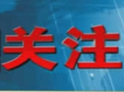 从“云”销自家纱线，到打造跨境电商全链条——远奥服务超千家外贸企业