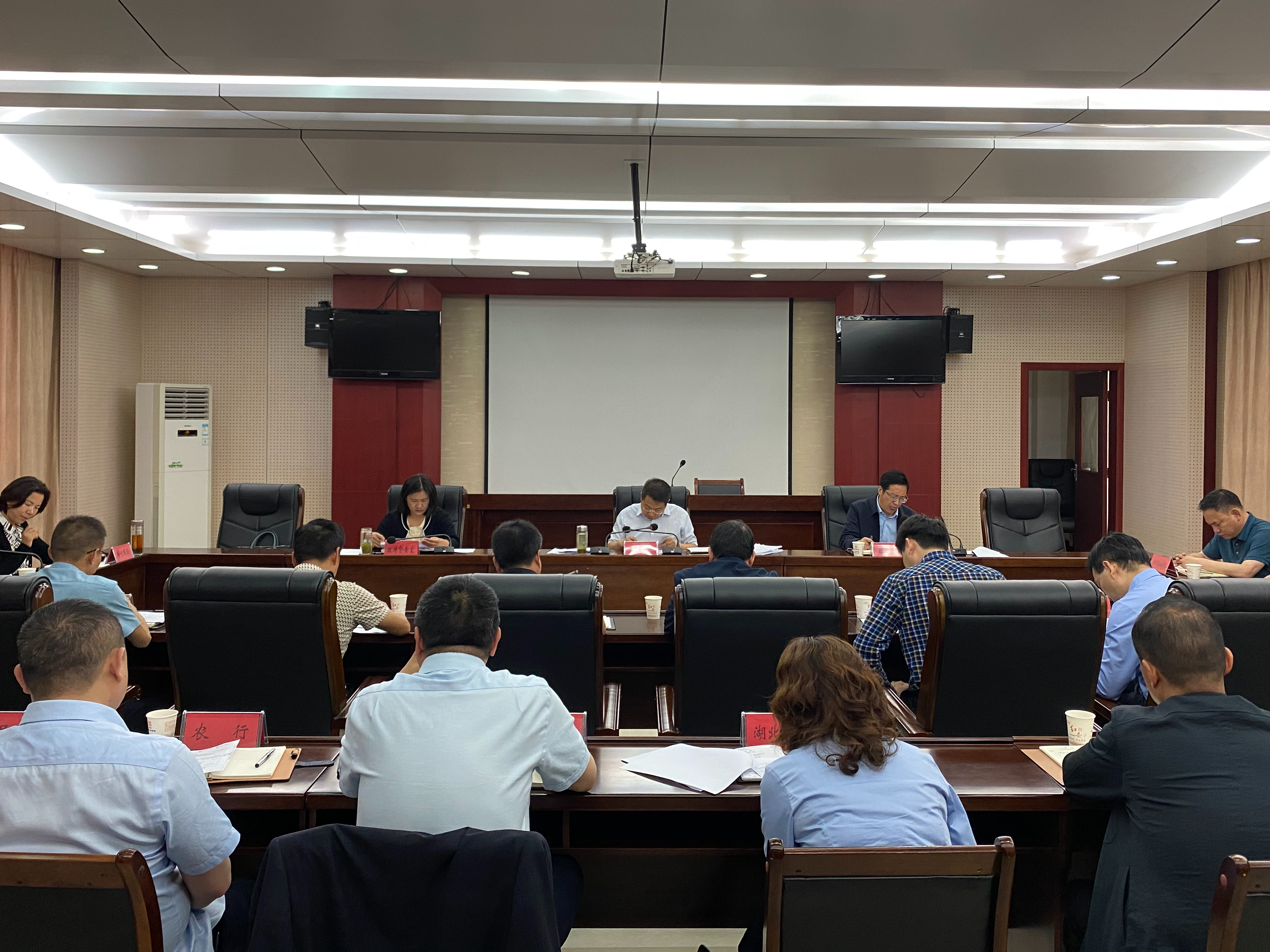 我县召开项目融资工作专题会