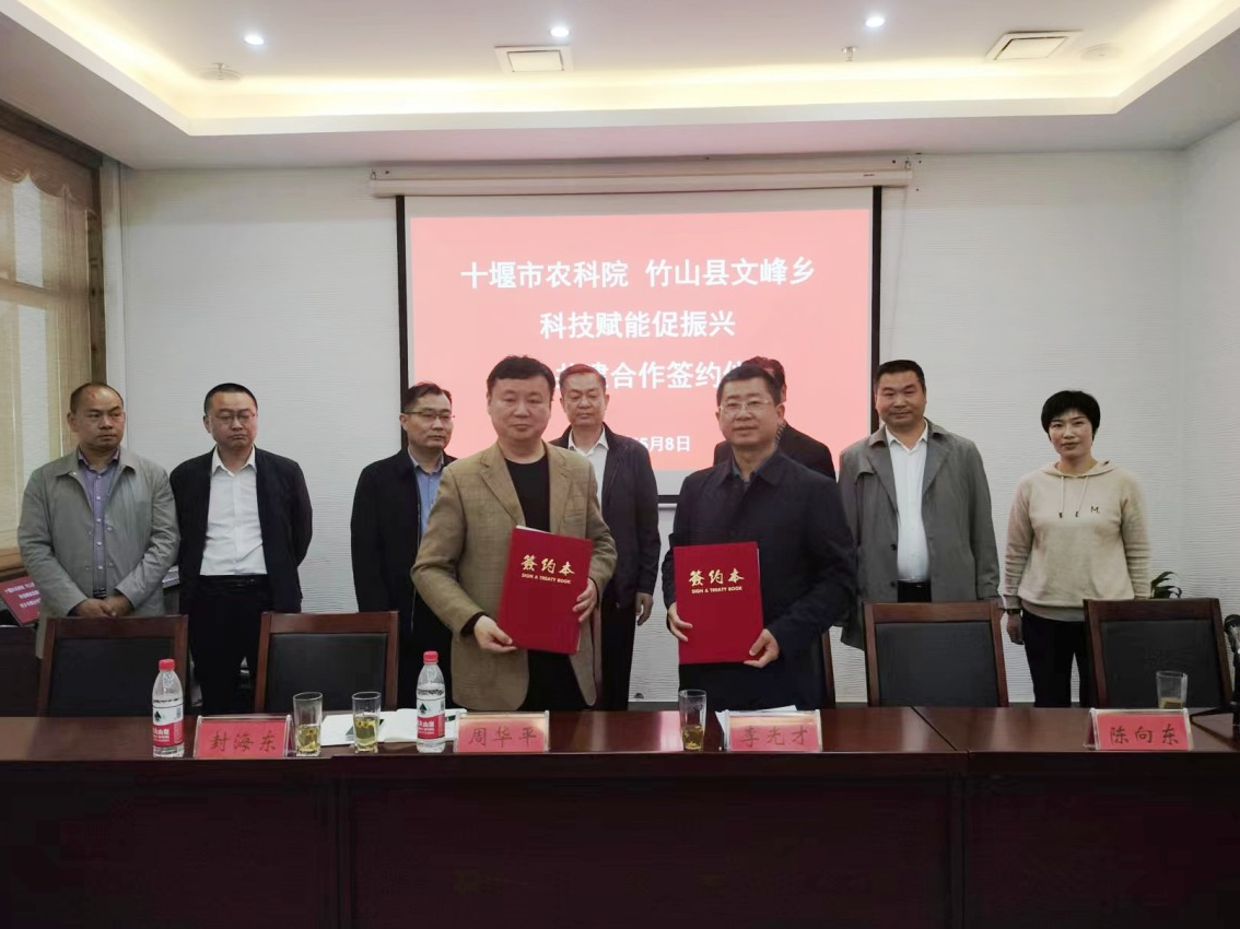 市农科院5个专家工作站落户文峰乡