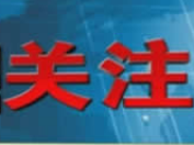 王忠林出席新建合肥至武汉高铁湖北段开工动员活动